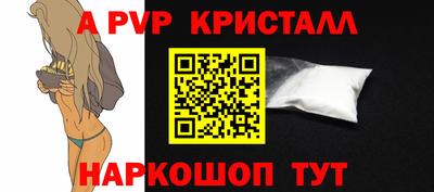 спиды Кизляр